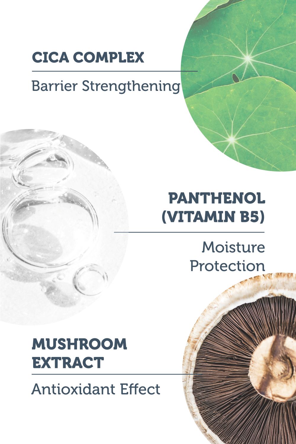 Soothing & Smoothing Cica Serum 30ml