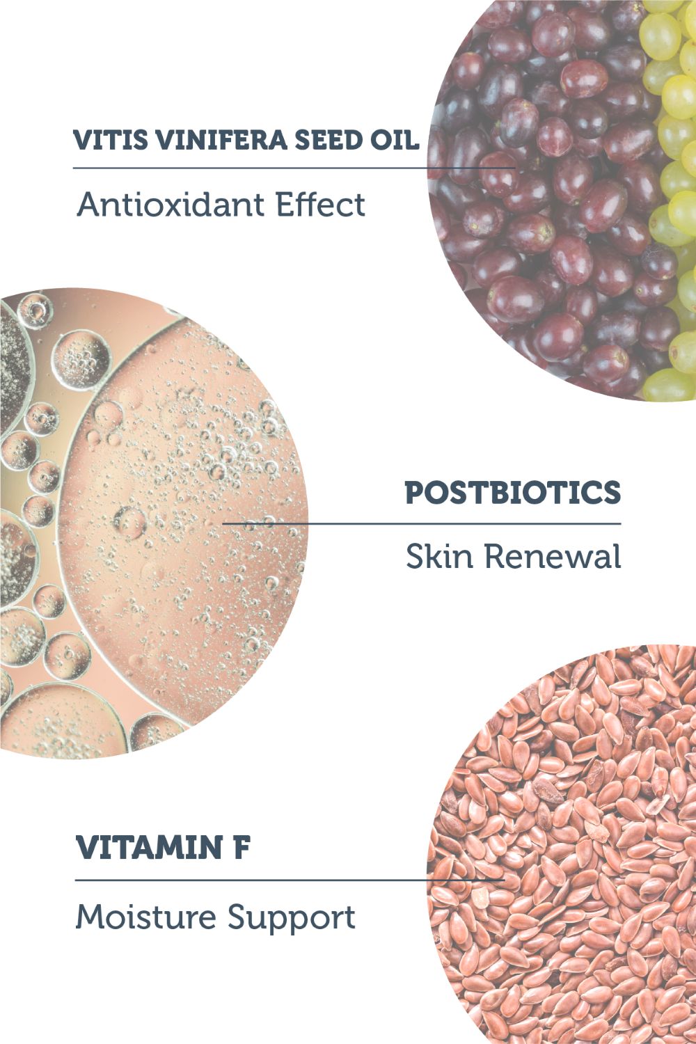 Purifying Oil Cleanser With Postbiotics